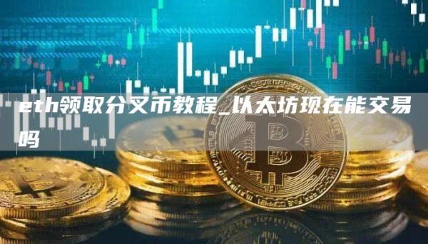 th领取分叉币教程_以太坊现在能交易吗