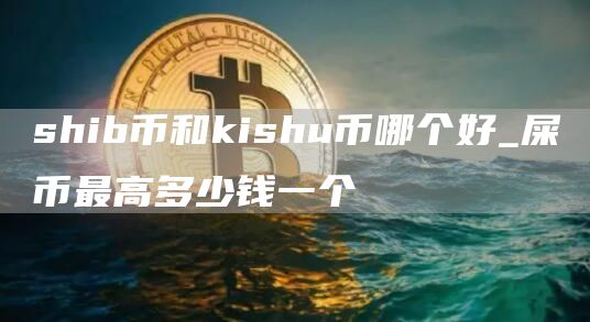 shib币和kishu币哪个好_屎币最高多少钱一个