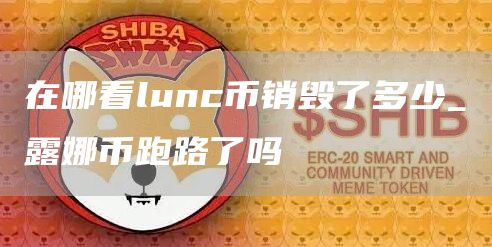 在哪看lunc币销毁了多少_露娜币跑路了吗