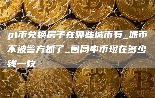 pi币兑换房子在哪些城市有_派币不被警方抓了_圆周率币现在多少钱一枚