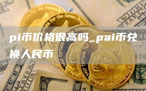 pi币价格很高吗_pai币兑换人民币