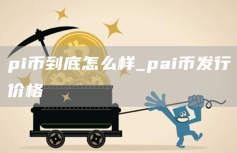 pi币到底怎么样_pai币发行价格