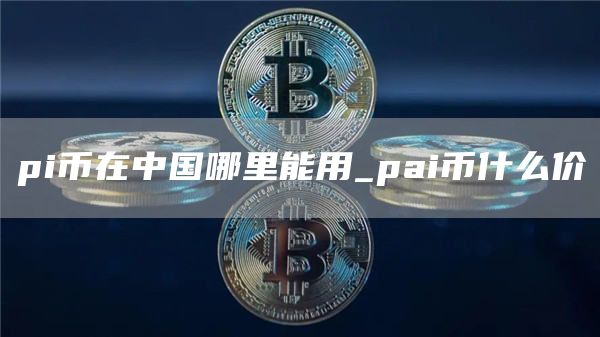 pi币在中国哪里能用_pai币什么价