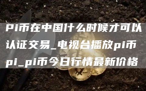 Pi币在中国什么时候才可以认证交易_电视台播放pi币pi_pi币今日行情最新价格