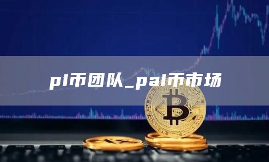 pi币团队_pai币市场