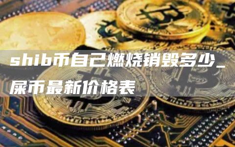 shib币自己燃烧销毁多少_屎币最新价格表