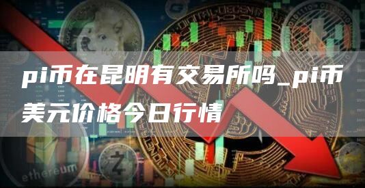 pi币在昆明有交易所吗_pi币美元价格今日行情
