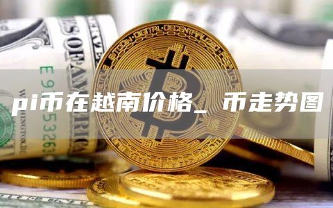 pi币在越南价格_π币走势图