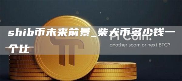 shib币未来前景_柴犬币多少钱一个比