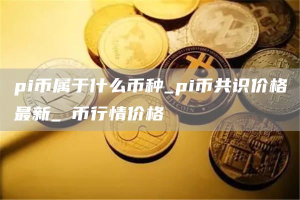 pi币属于什么币种_pi币共识价格最新_π币行情价格
