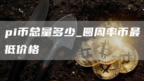 pi币总量多少_圆周率币最低价格