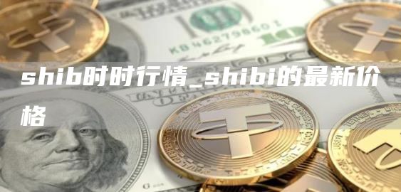 shib时时行情_shibi的最新价格