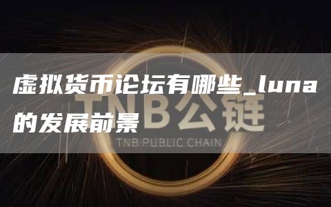 虚拟货币论坛有哪些_luna的发展前景
