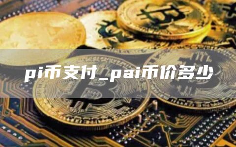 pi币支付_pai币价多少