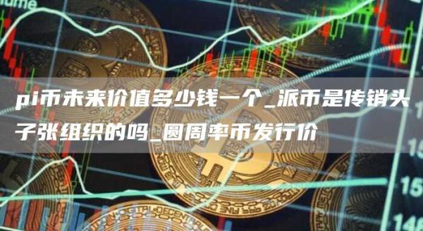 pi币未来价值多少钱一个_派币是传销头子张组织的吗_圆周率币发行价