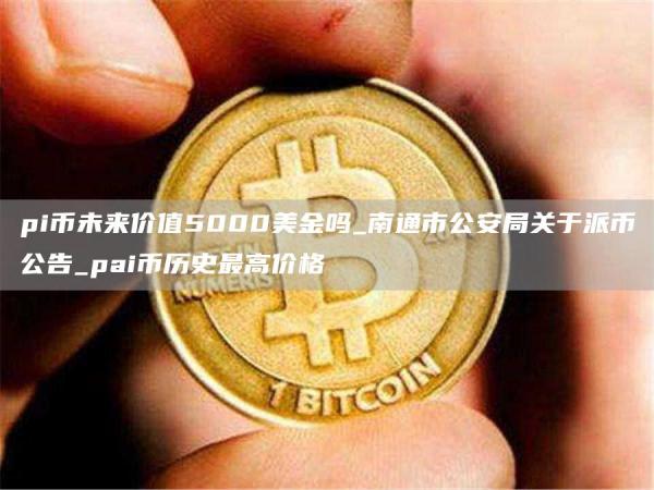 pi币未来价值5000美金吗_南通市公安局关于派币公告_pai币历史最高价格