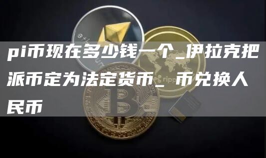 pi币现在多少钱一个_伊拉克把派币定为法定货币_π币兑换人民币