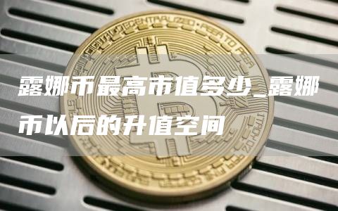 露娜币最高市值多少_露娜币以后的升值空间