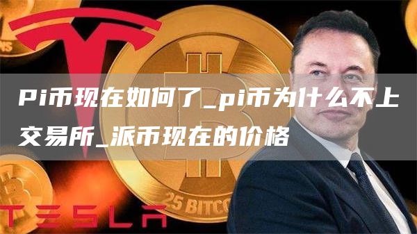 Pi币现在如何了_pi币为什么不上交易所_派币现在的价格