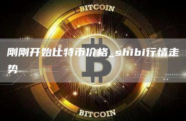 刚刚开始比特币价格_shibi行情走势