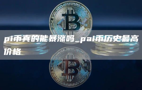 pi币真的能暴涨吗_pai币历史最高价格