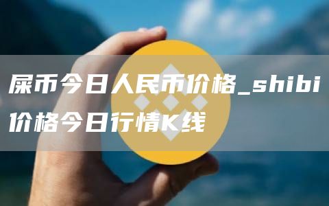 屎币今日人民币价格_shibi价格今日行情K线