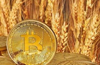 比特币波段是什么意思（比特币波段的做法）