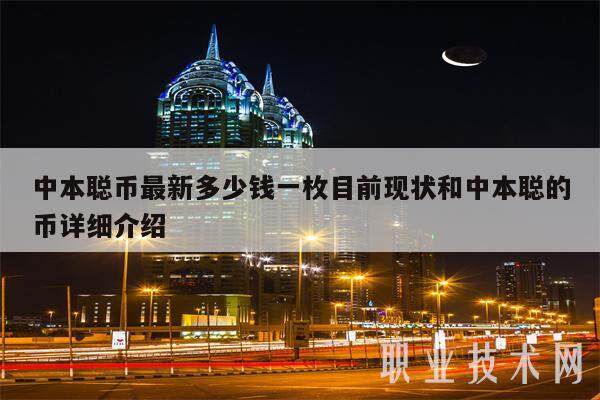中本聪币最新多少钱一枚目前现状和中本聪的币详细介绍-第1张图片-火必下载