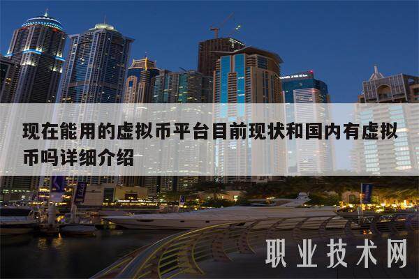 现在能用的虚拟币平台目前现状和国内有虚拟币吗详细介绍-第1张图片-火必下载