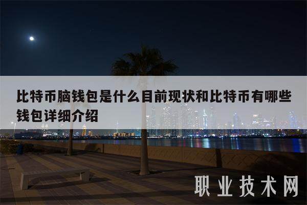 比特币脑钱包是什么目前现状和比特币有哪些钱包详细介绍-第1张图片-火必下载