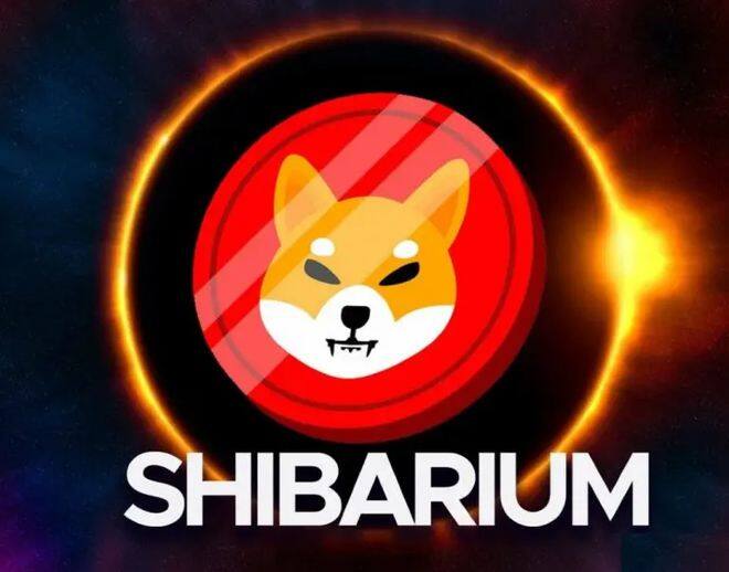 柴犬币2024年预测 v神说柴犬币能涨到一元-第1张图片-火必下载