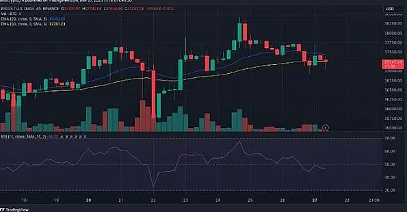 80%的BTC钱包都赚了，比特币真的进入新牛市了？-第6张图片-火必下载