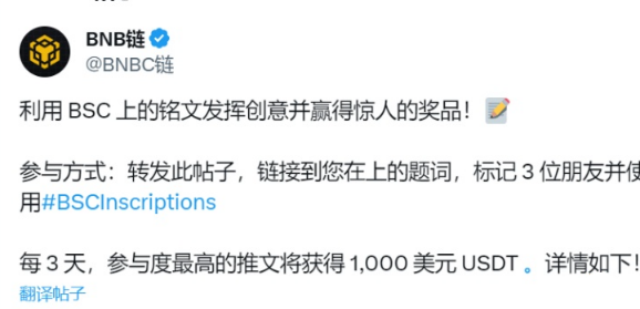 铭文生态版图 下一个爆发会是公链铭文吗？-第2张图片-火必下载