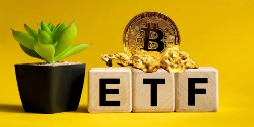 比特币单月暴涨40% 持有逾100万没有BTC地址数暴增3倍