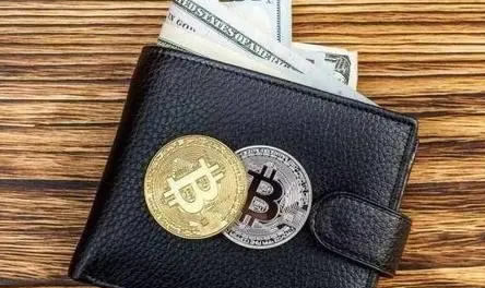钱包和交易所有什么区别-第1张图片-火必下载 钱包和交易所有什么区别-第1张图片-火必下载