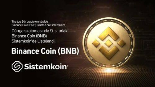 BNB币未来前景如何-第1张图片-火必下载 BNB币未来前景如何-第1张图片-火必下载