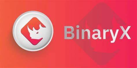 什么是BinaryX币-第1张图片-火必下载