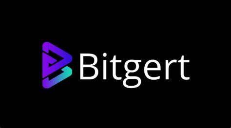 什么是Bitgert(BRISE)币-第1张图片-火必下载 什么是Bitgert(BRISE)币-第1张图片-火必下载