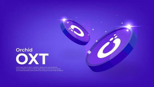 什么是Orchid(OXT)币-第1张图片-火必下载 什么是Orchid(OXT)币-第1张图片-火必下载