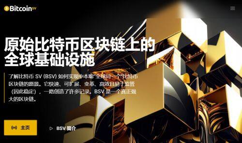 BSV币是什么币种-第1张图片-火必下载