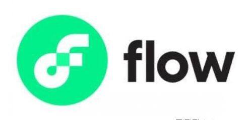 FLOW是什么币种？-第1张图片-火必下载