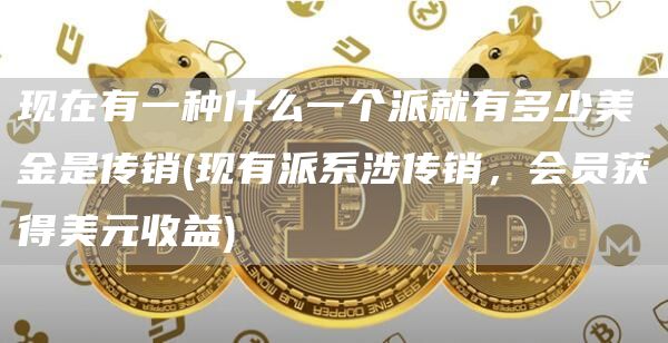 现在有一种什么一个派就有多少美金是传销 - 现有派系涉传销，会员获得美元收益