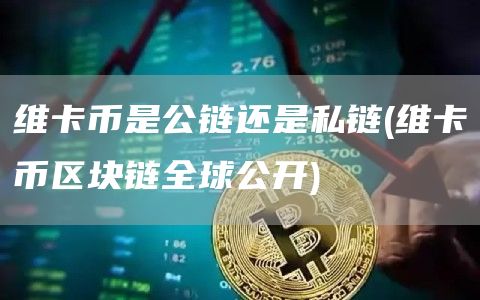维卡币是公链还是私链 - 维卡币区块链全球公开