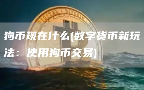 狗币现在什么 - 数字货币新玩法：使用狗币交易