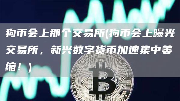 狗币会上那个交易所 - 狗币会上曝光交易所，新兴数字货币加速集中萎缩！