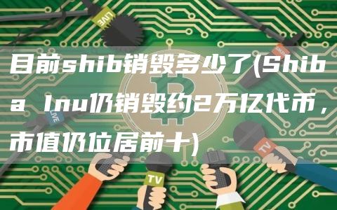 目前shib销毁多少了 - Shiba Inu仍销毁约2万亿代币，市值仍位居前十
