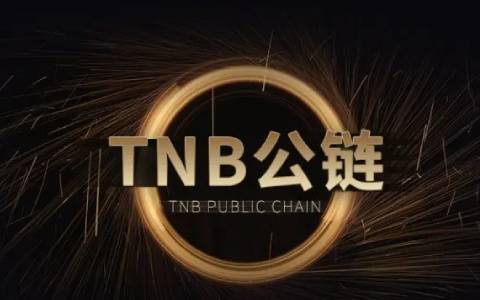 交易usdt用什么软件
