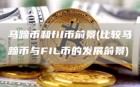 马蹄币和fil币前景 - 比较马蹄币与FIL币的发展前景