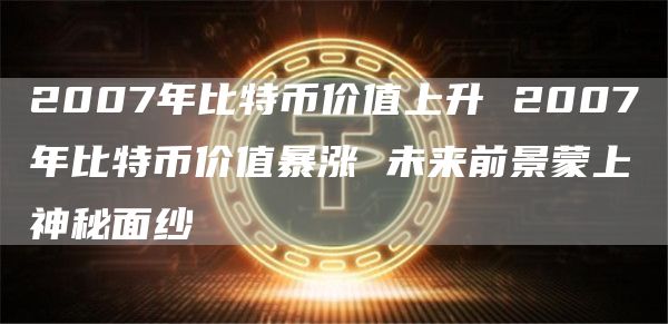 2007年比特币价值上升 2007年比特币价值暴涨 未来前景蒙上神秘面纱