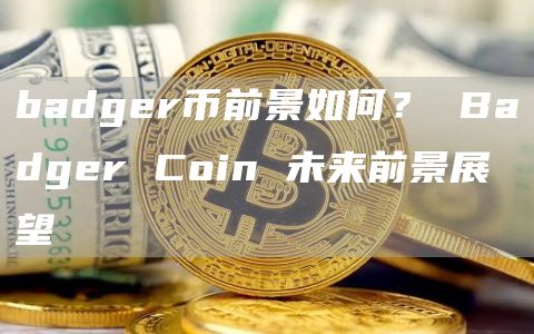 badgr币前景如何？ Badgr Coin 未来前景展望